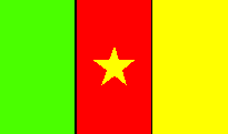 Cameron Flag